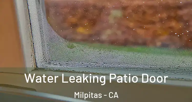 Water Leaking Patio Door Milpitas - CA